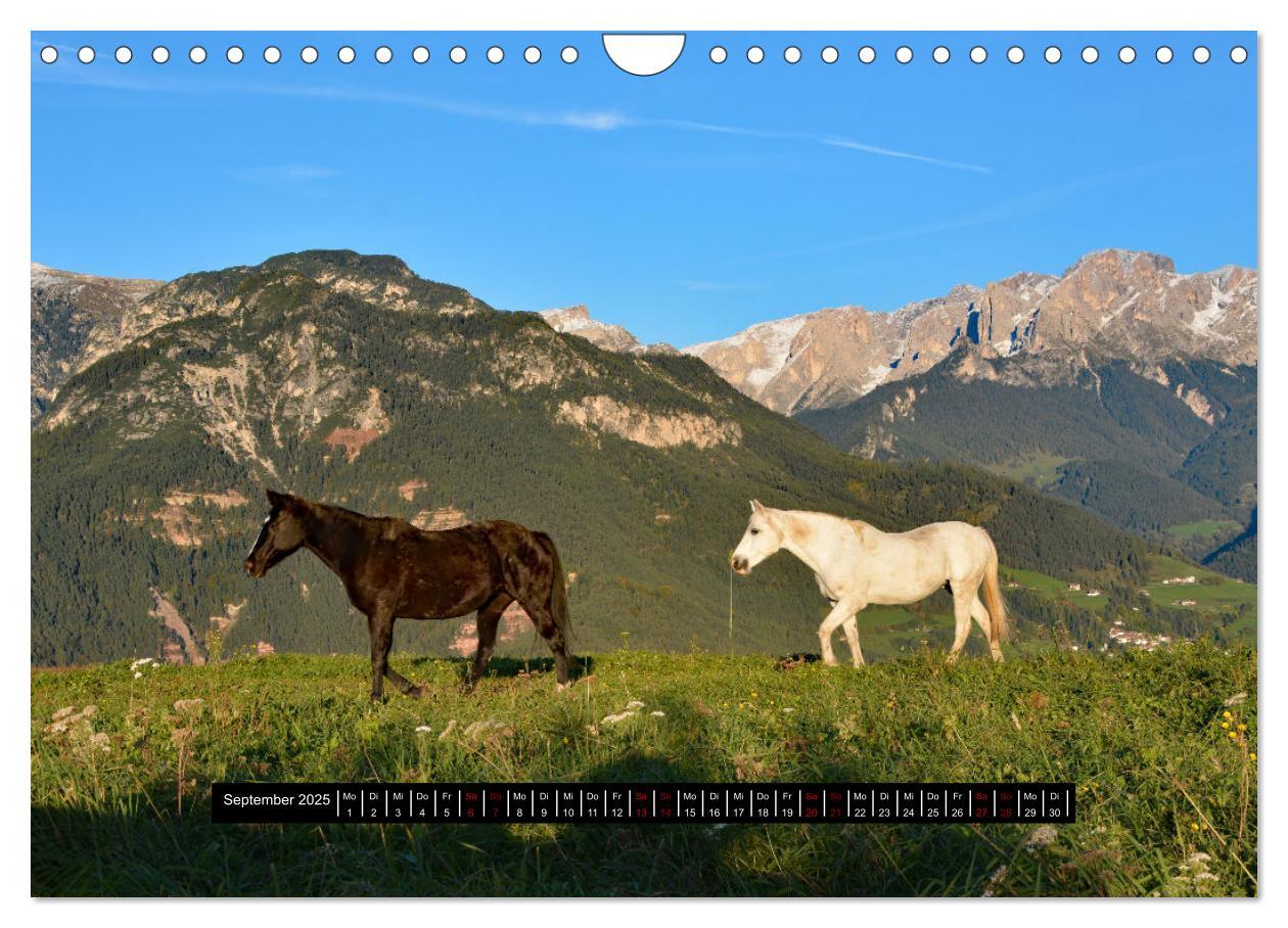 Bild: 9783435072392 | Dolomiten - Latemar und Rosengarten (Wandkalender 2025 DIN A4...