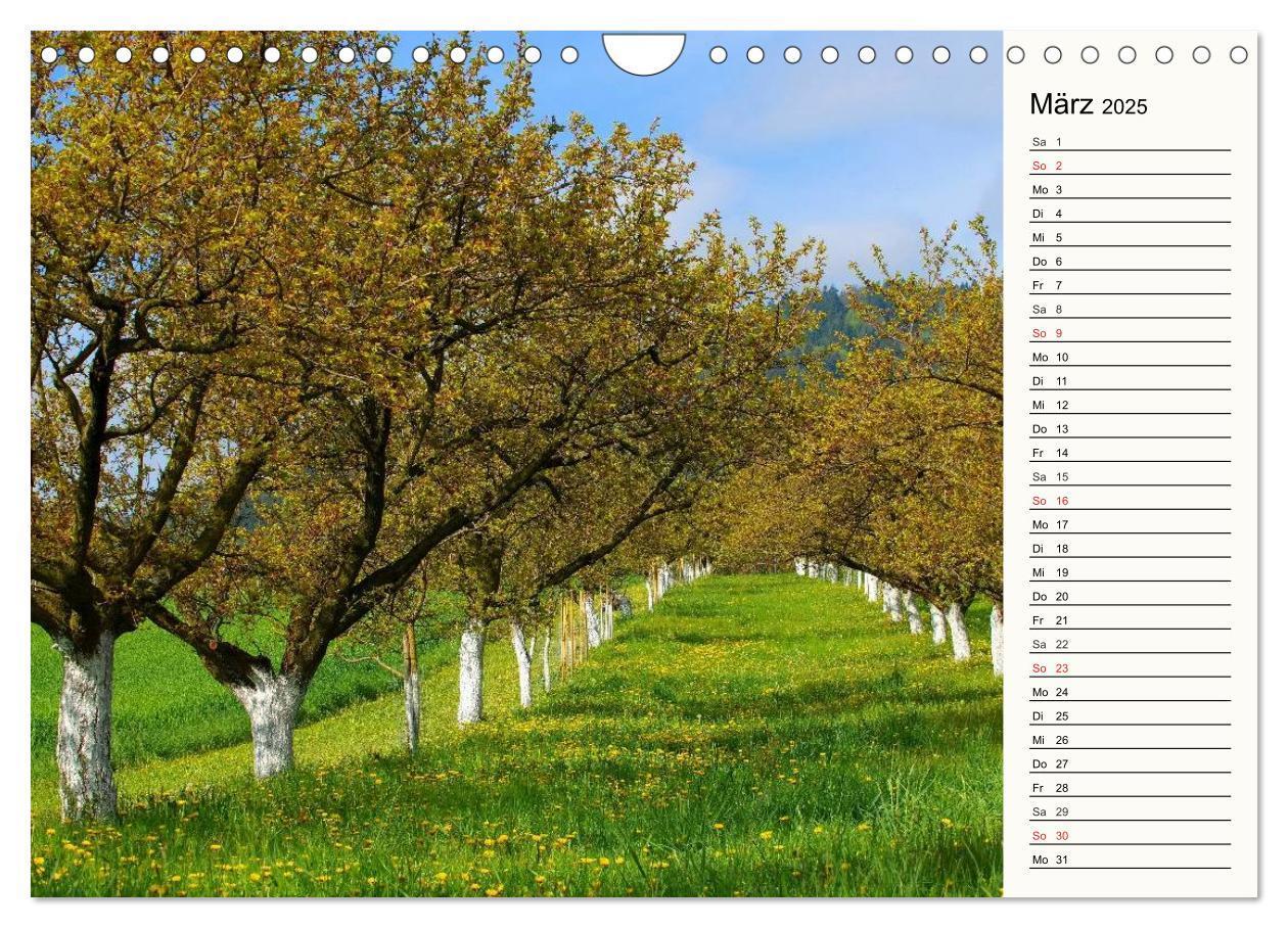 Bild: 9783435531417 | Die Wachau - An der Donau zwischen Melk und Krems (Wandkalender...