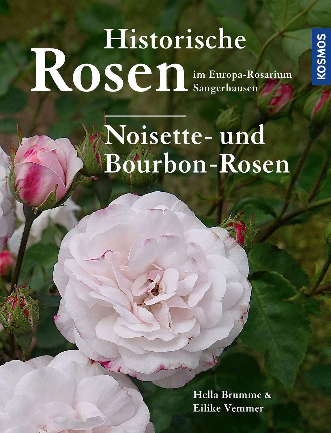 Cover: 9783440178867 | Historische Rosen im Europa Rosarium Sangerhausen: Noisette- und...