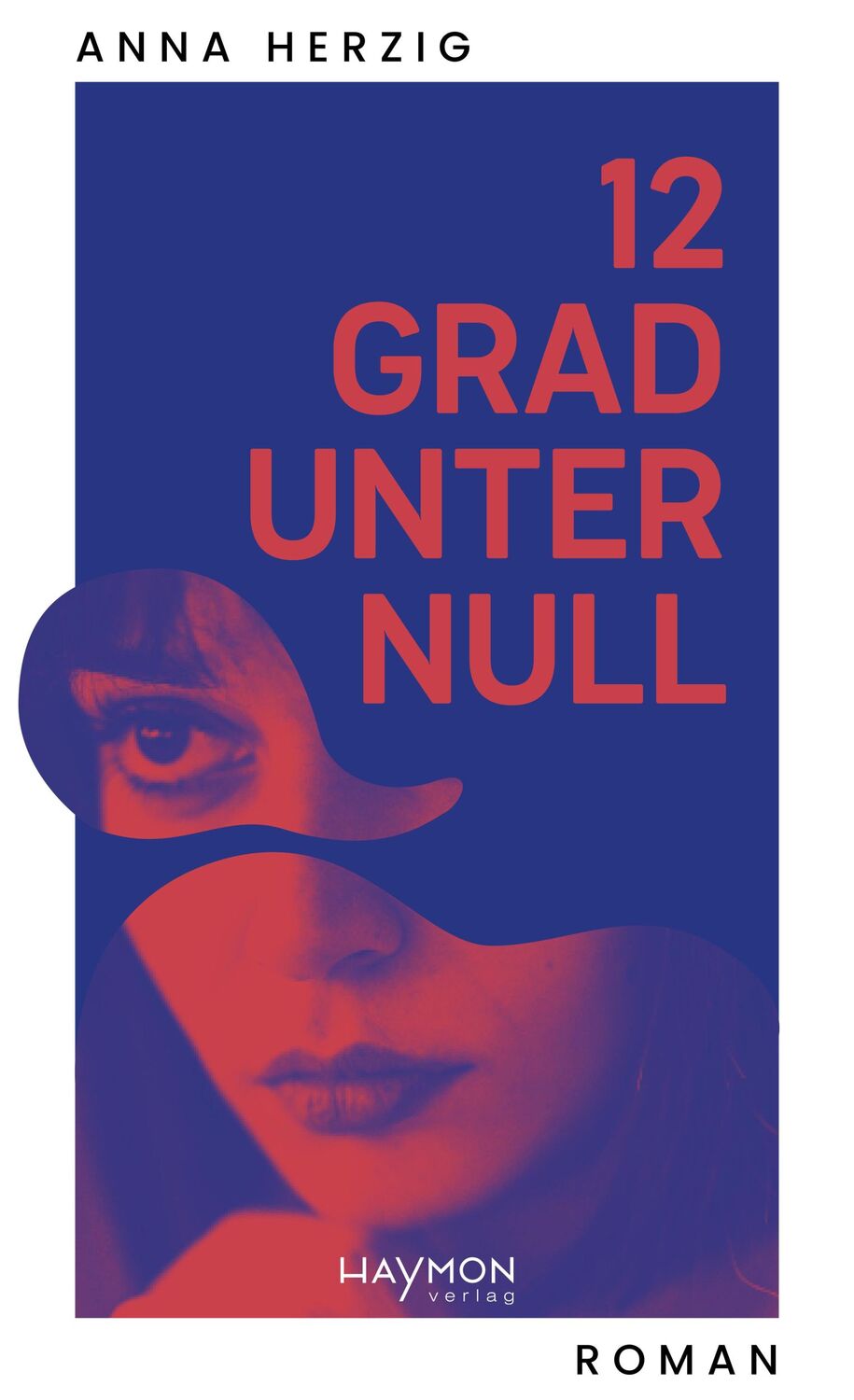 Cover: 9783709981924 | 12 Grad unter Null | Roman | Anna Herzig | Buch | 144 S. | Deutsch