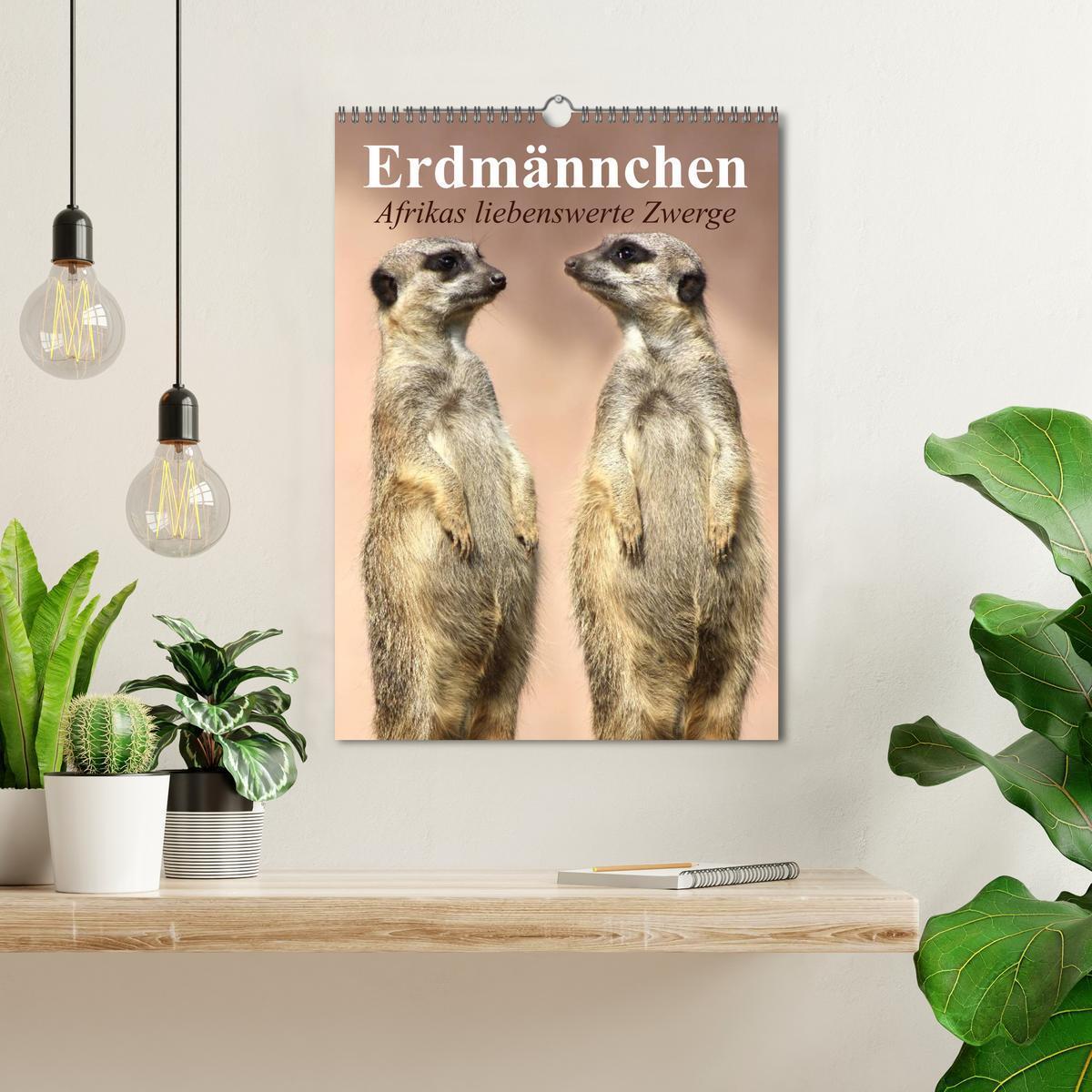 Bild: 9783457055052 | Erdmännchen - Afrikas liebenswerte Zwerge (Wandkalender 2025 DIN A3...