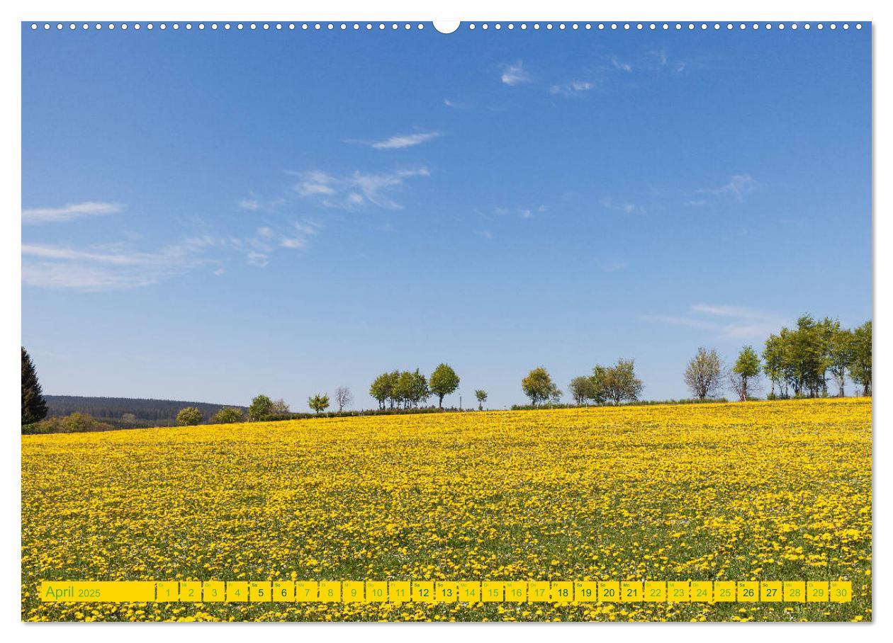 Bild: 9783435138821 | Eifel Sehnsucht (Wandkalender 2025 DIN A2 quer), CALVENDO...