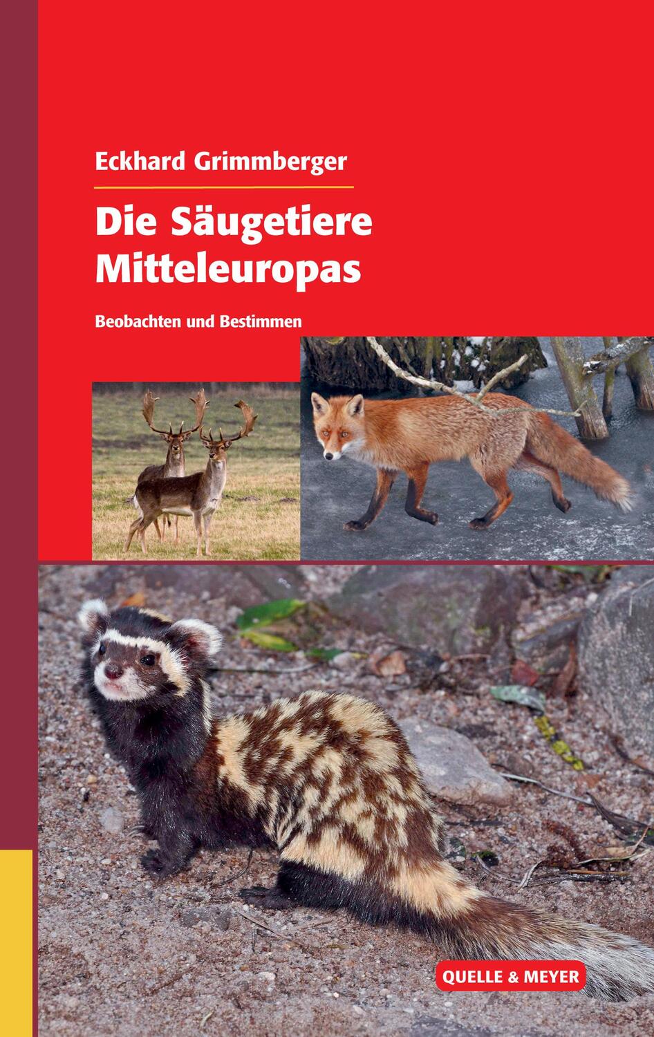 Cover: 9783494016450 | Die Säugetiere Mitteleuropas | Beobachten und Bestimmen | Grimmberger