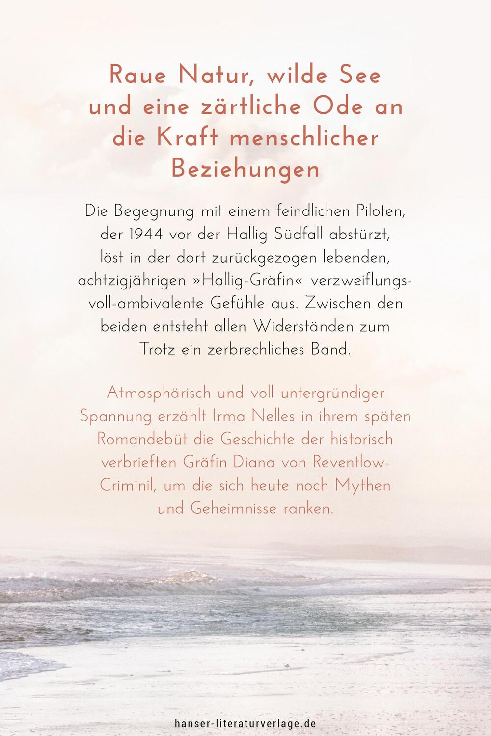 Bild: 9783446281493 | Die Gräfin | Roman | Irma Nelles | Buch | 176 S. | Deutsch | 2024