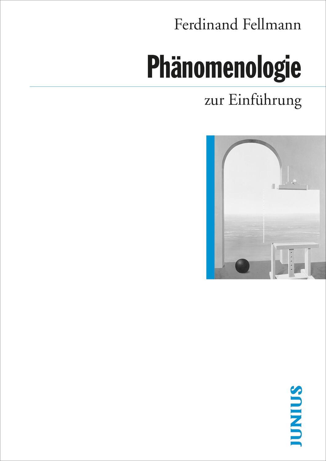 Cover: 9783885067443 | Phänomenologie zur Einführung | Ferdinand Fellmann | Taschenbuch