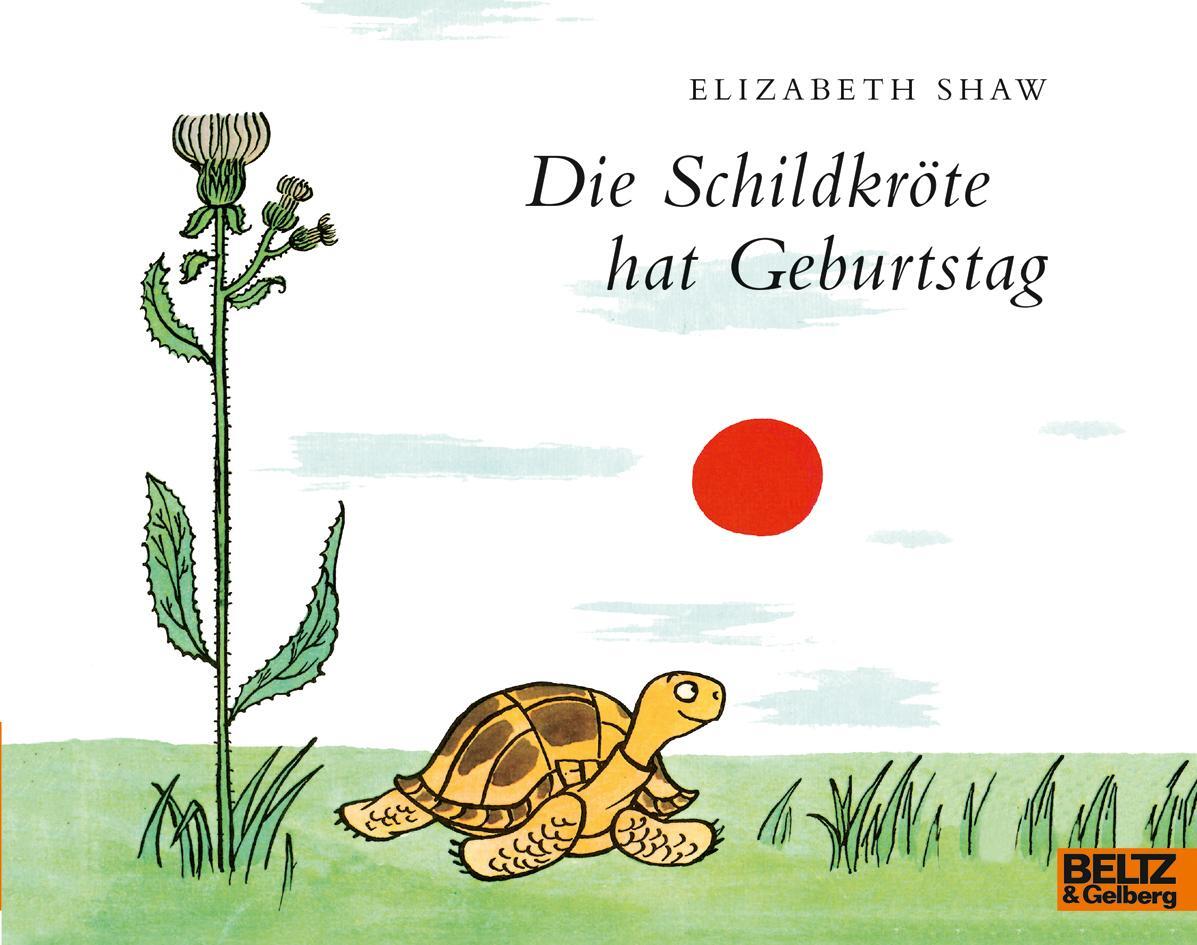 Cover: 9783407762276 | Die Schildkröte hat Geburtstag | Vierfarbiges Bilderbuch | Shaw | Buch