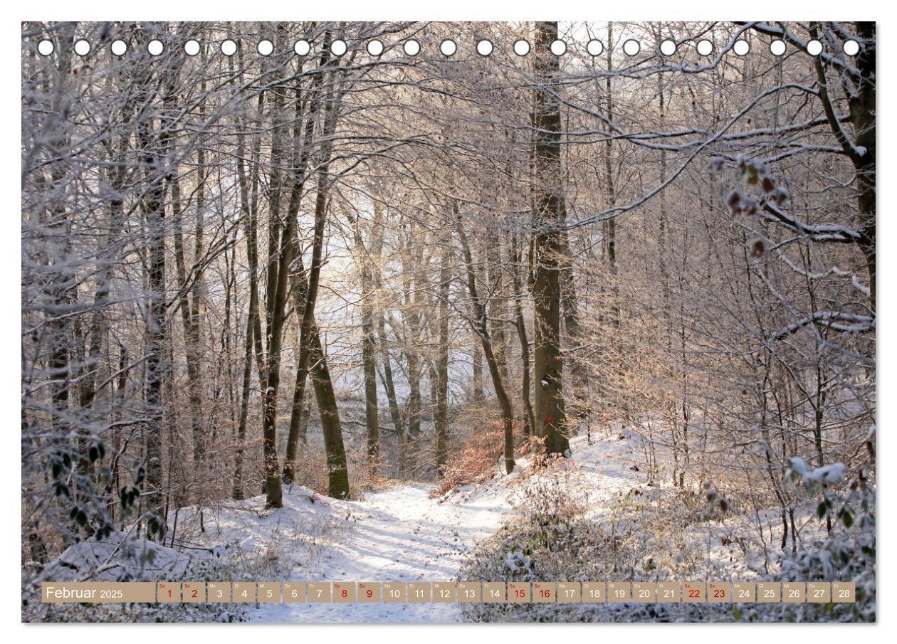 Bild: 9783383773266 | Der Wald - Ort der Ruhe und Besinnung (Tischkalender 2025 DIN A5...