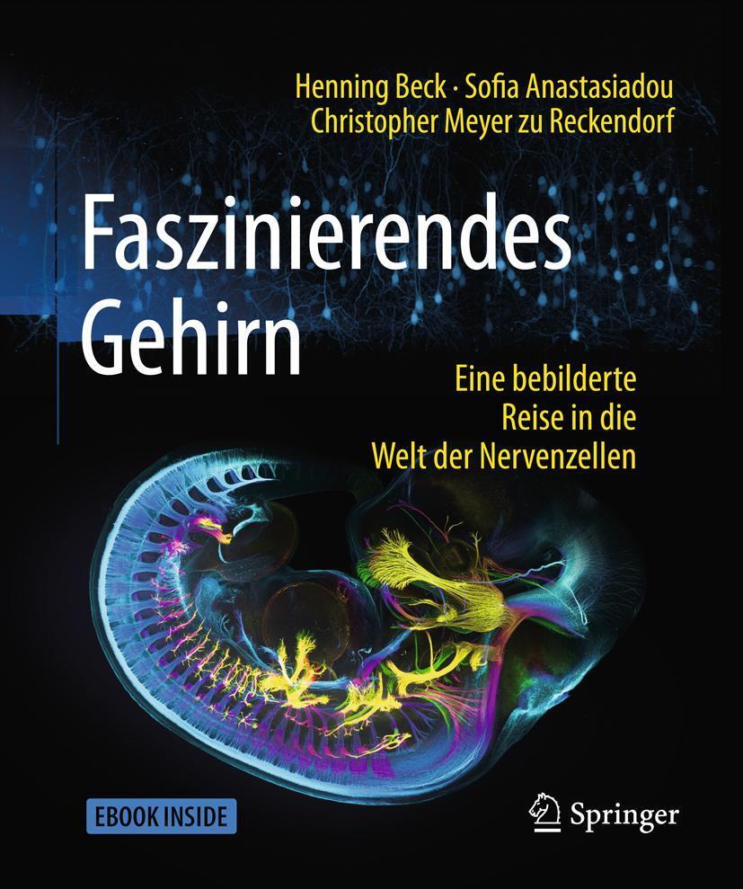 Cover: 9783662547557 | Faszinierendes Gehirn | Henning Beck (u. a.) | Bundle | Book + eBook