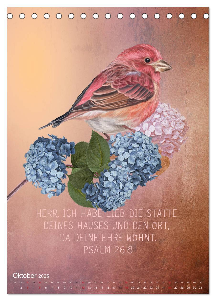 Bild: 9783435961399 | Bibelworte für Vogelfreunde (Tischkalender 2025 DIN A5 hoch),...