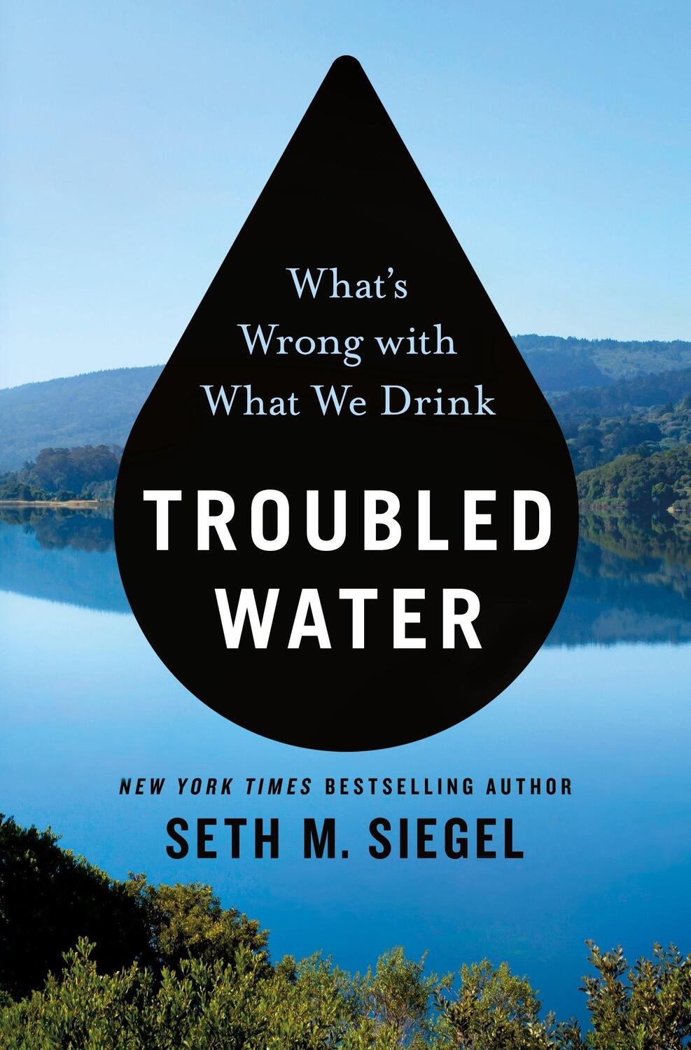 Cover: 9781250132543 | Troubled Water: What's Wrong with What We Drink | Seth M. Siegel