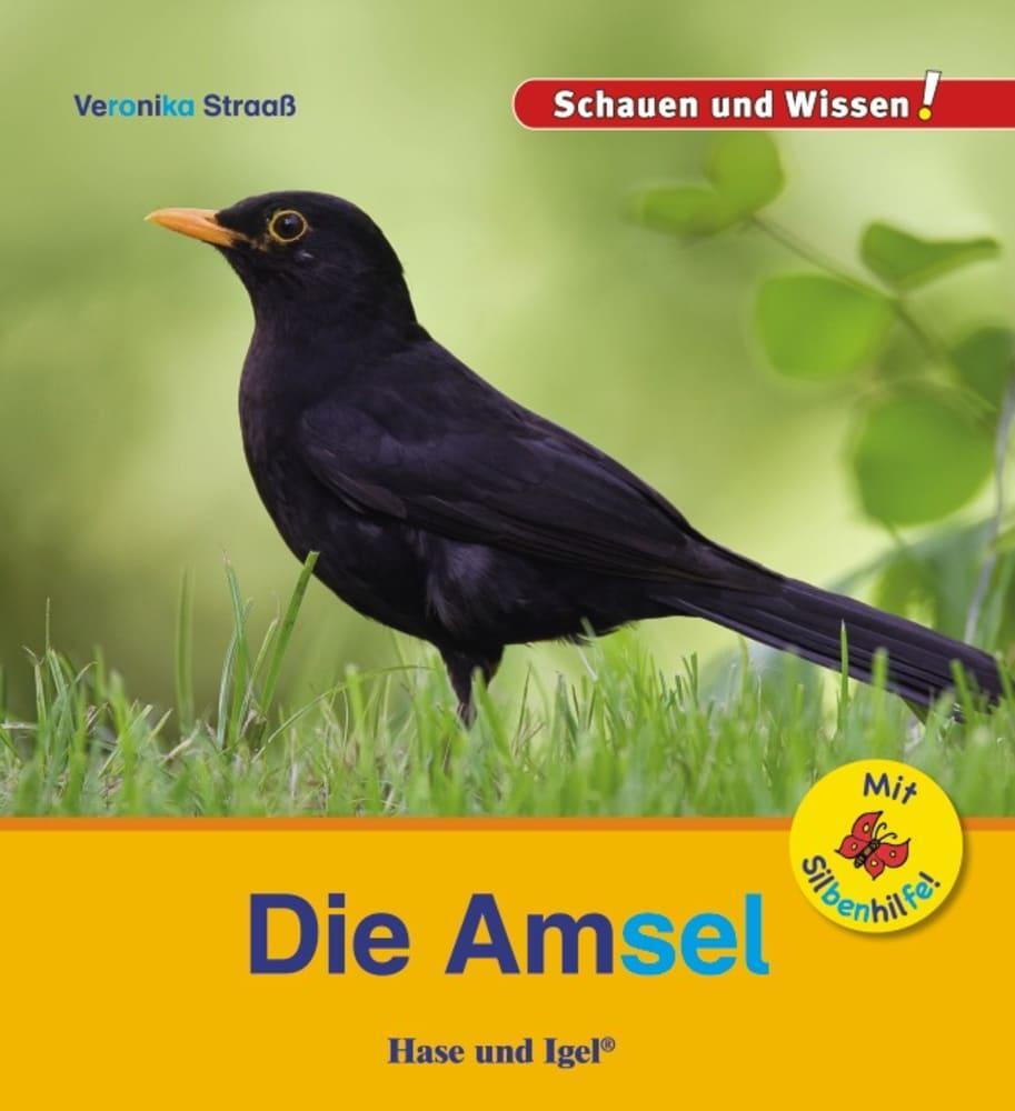 Cover: 9783863163594 | Die Amsel / Sonderausgabe mit Silbenhilfe | Schauen und Wissen! | 2021