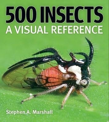 Cover: 9781554073450 | 500 Insects | A Visual Reference | Stephen A Marshall | Buch | 2008