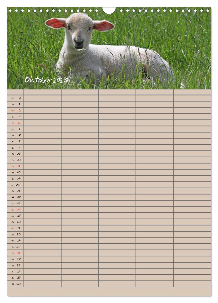 Bild: 9783457058329 | Der belämmerte Familienplaner (Wandkalender 2025 DIN A3 hoch),...