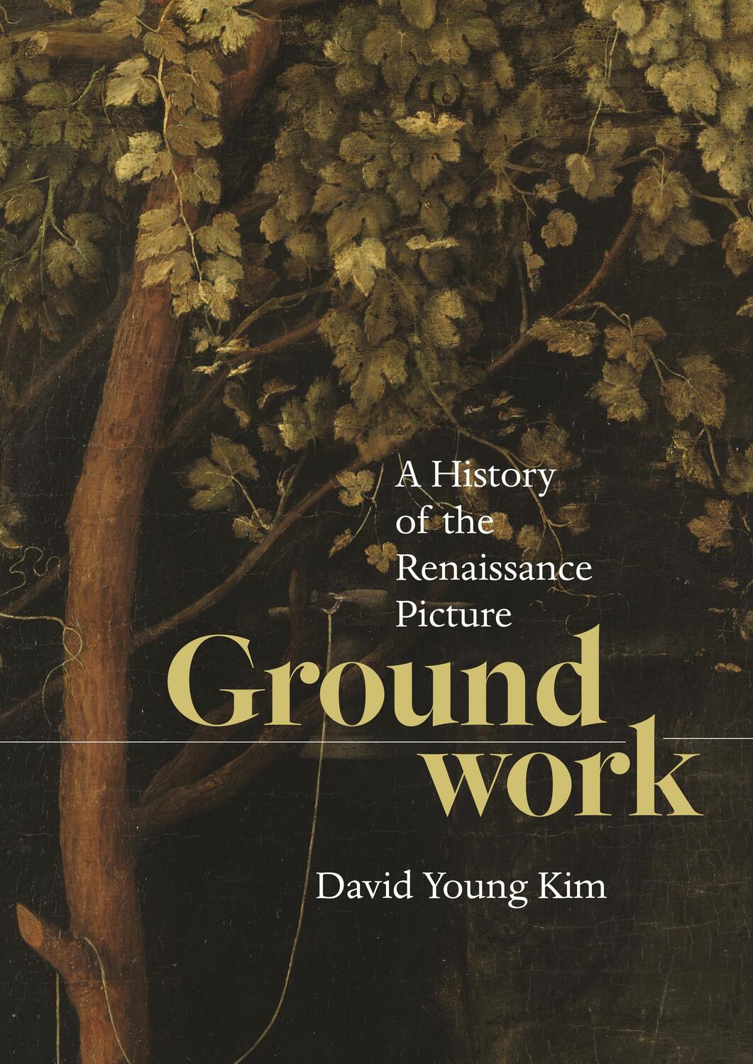 Cover: 9780691231174 | Groundwork | A History of the Renaissance Picture | David Young Kim