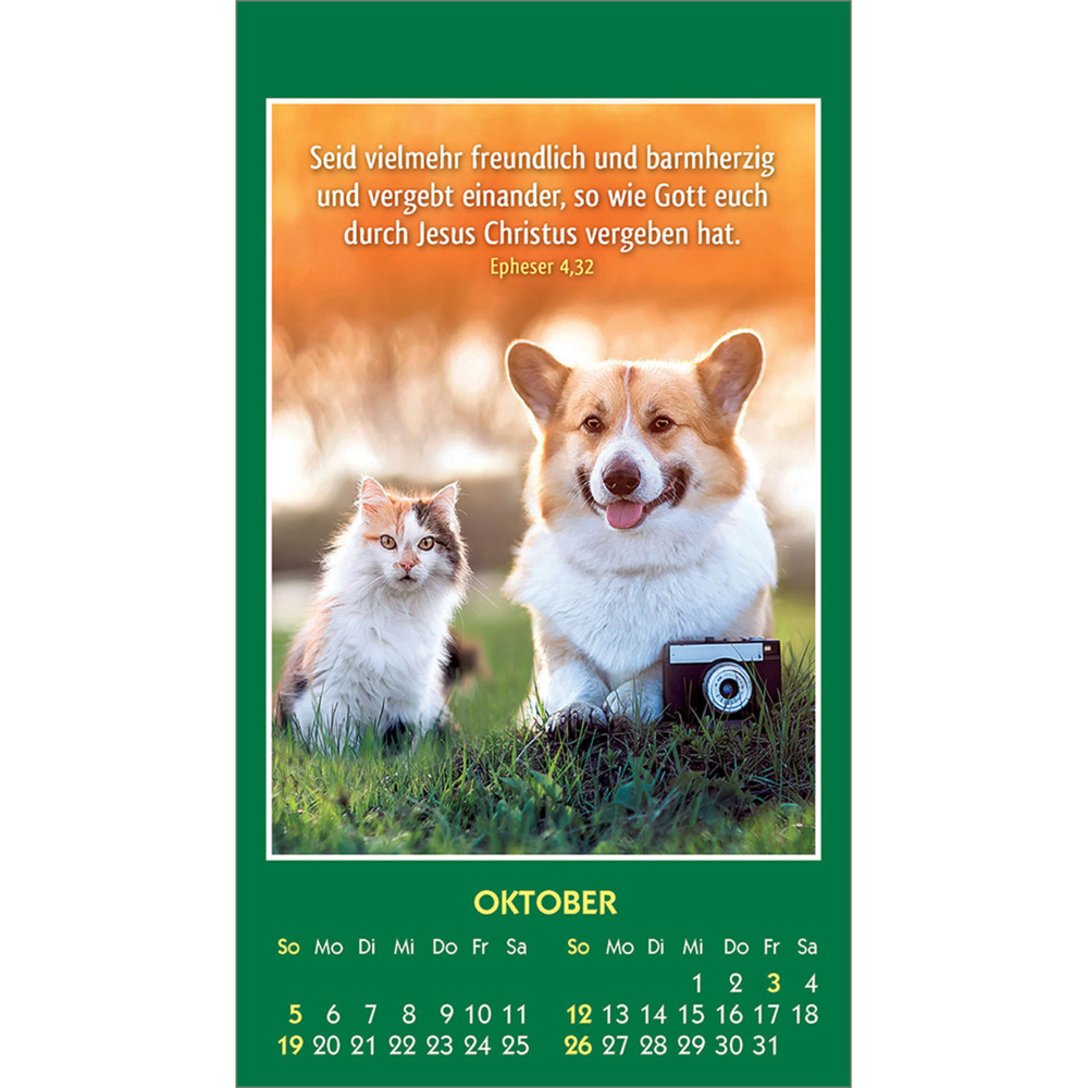 Bild: 9783754893555 | Hallo Du 2025 | Mini-Aufkleber-Kalender | Kalender | 14 S. | Deutsch