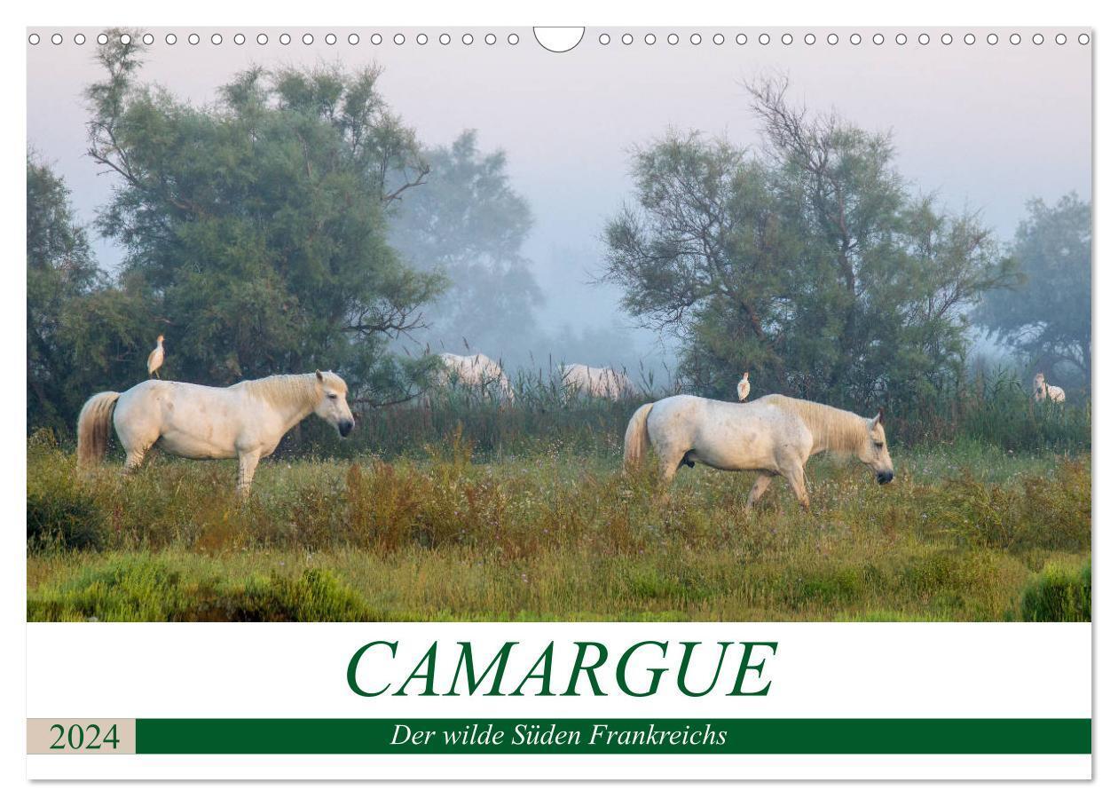 Cover: 9783383193590 | Camargue - Der wilde Süden Frankreichs (Wandkalender 2024 DIN A3...