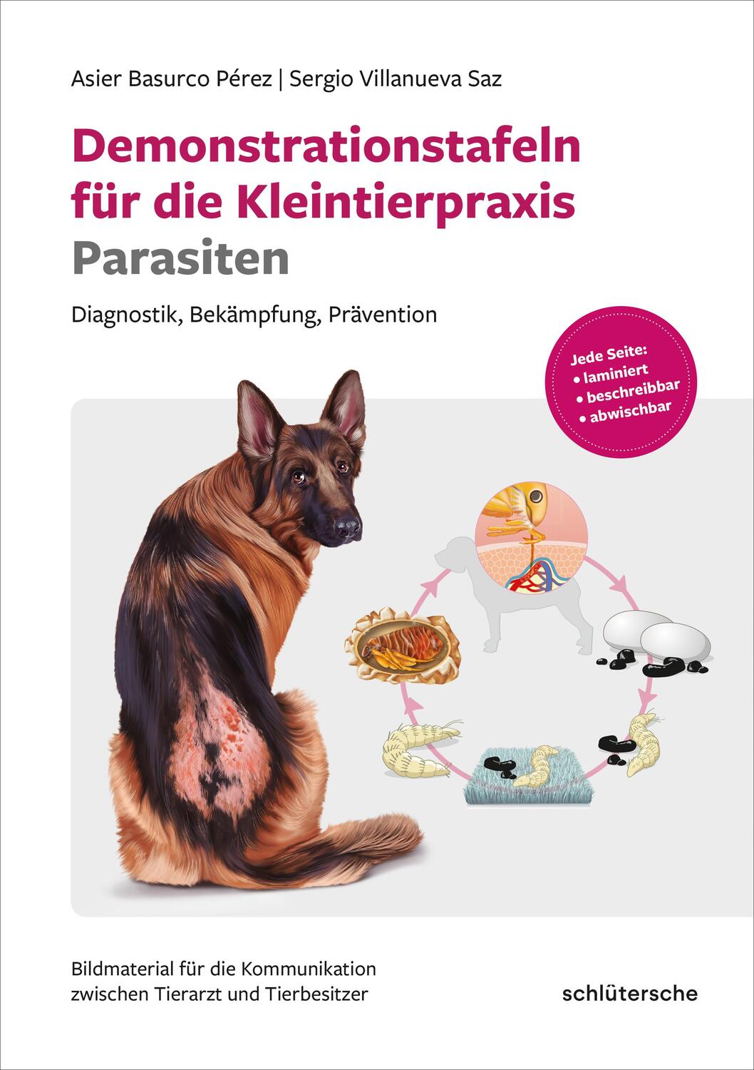 Cover: 9783842600669 | Demonstrationstafeln für die Kleintierpraxis Parasiten | Saz (u. a.)