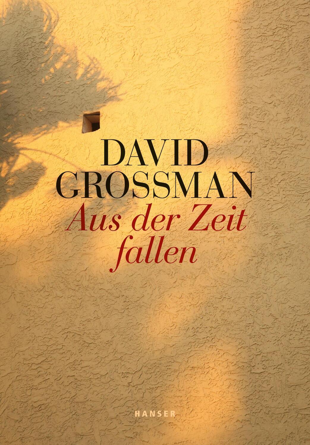 Cover: 9783446241268 | Aus der Zeit fallen | David Grossman | Buch | 128 S. | Deutsch | 2013