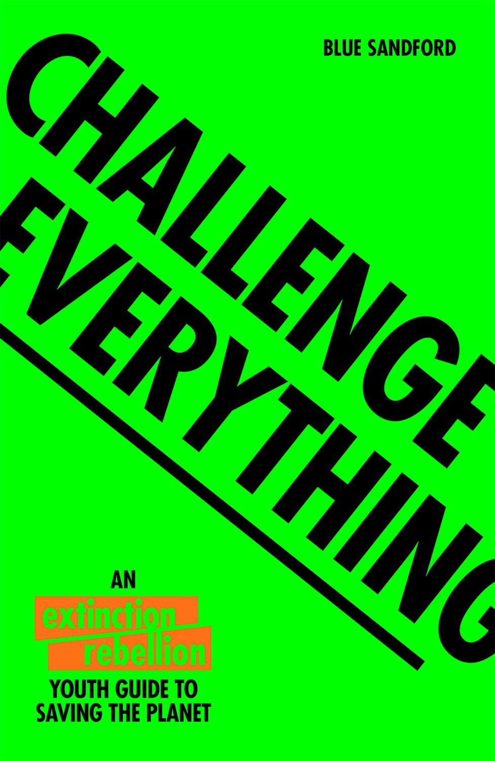 Cover: 9781843654643 | Challenge Everything | Blue Sandford (u. a.) | Taschenbuch | Englisch