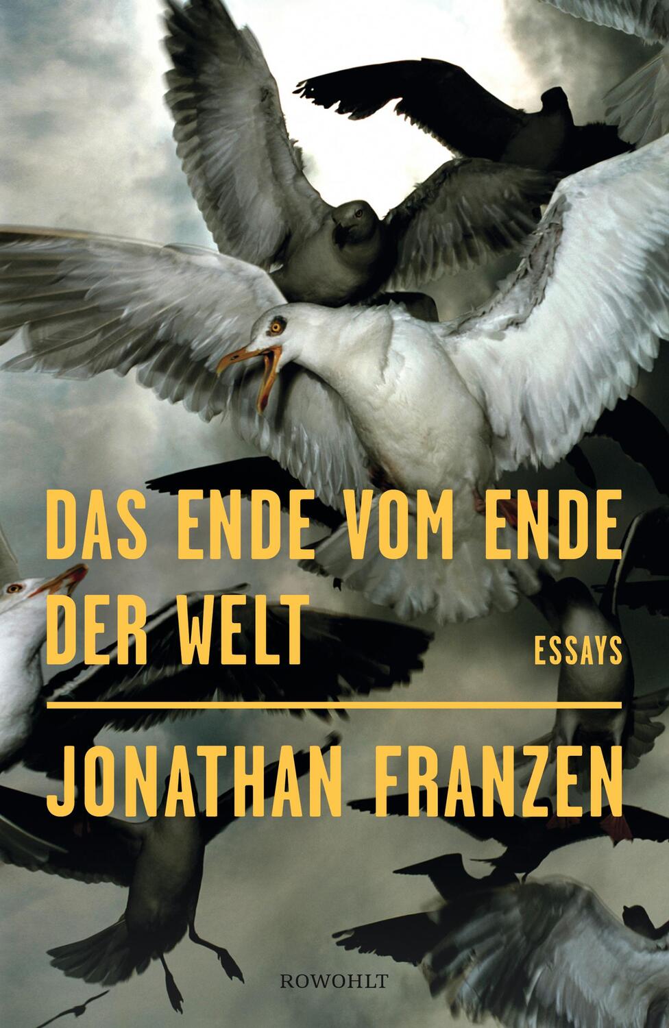 Cover: 9783498020095 | Das Ende vom Ende der Welt | Jonathan Franzen | Buch | Deutsch | 2019