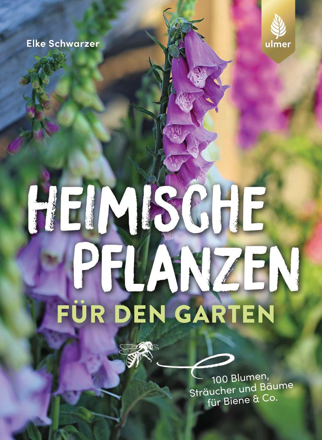 Cover: 9783818613655 | Heimische Pflanzen für den Garten | Elke Schwarzer | Taschenbuch
