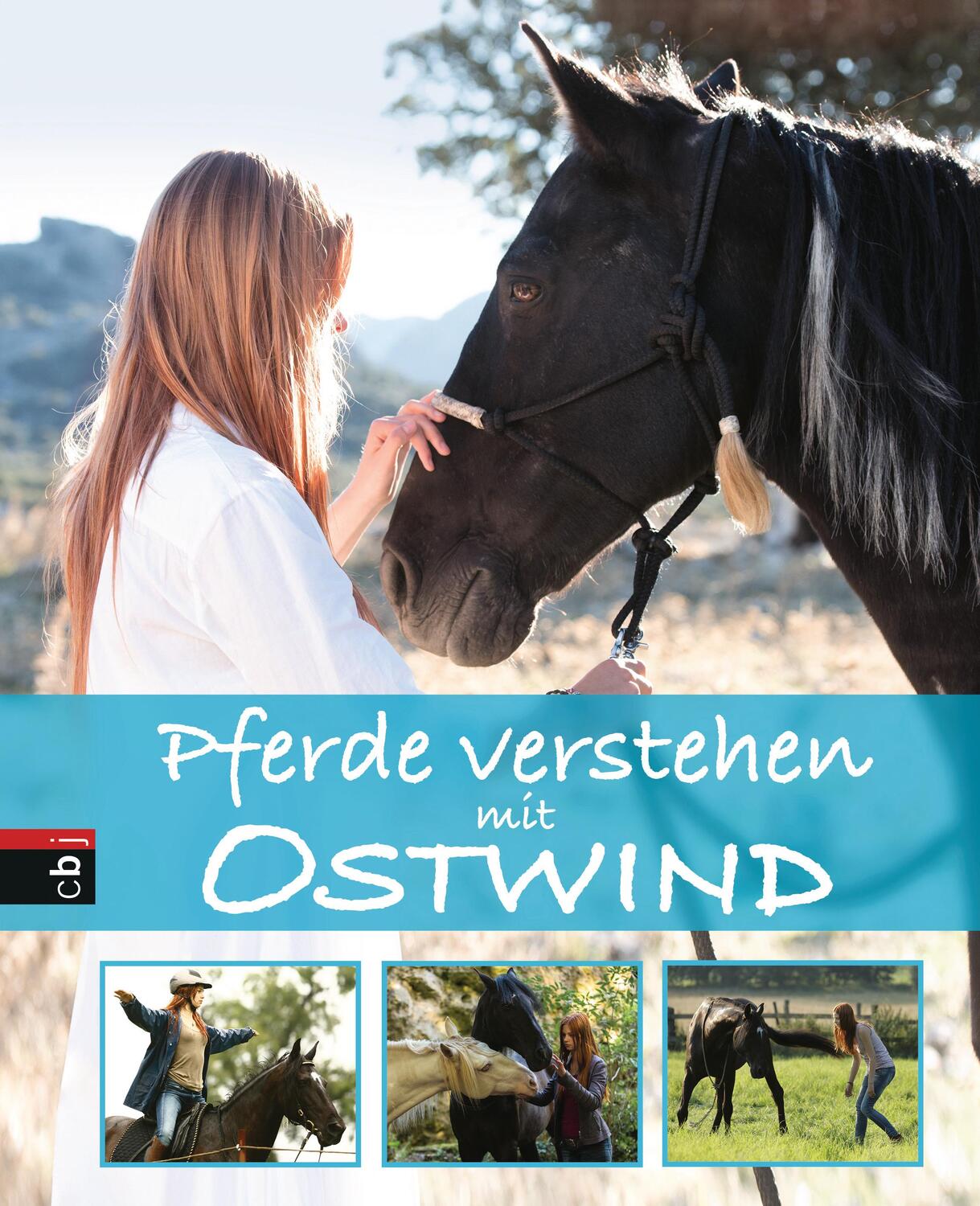 Cover: 9783570174791 | Pferde verstehen mit Ostwind | Almut Schmidt | Buch | Deutsch | 2017