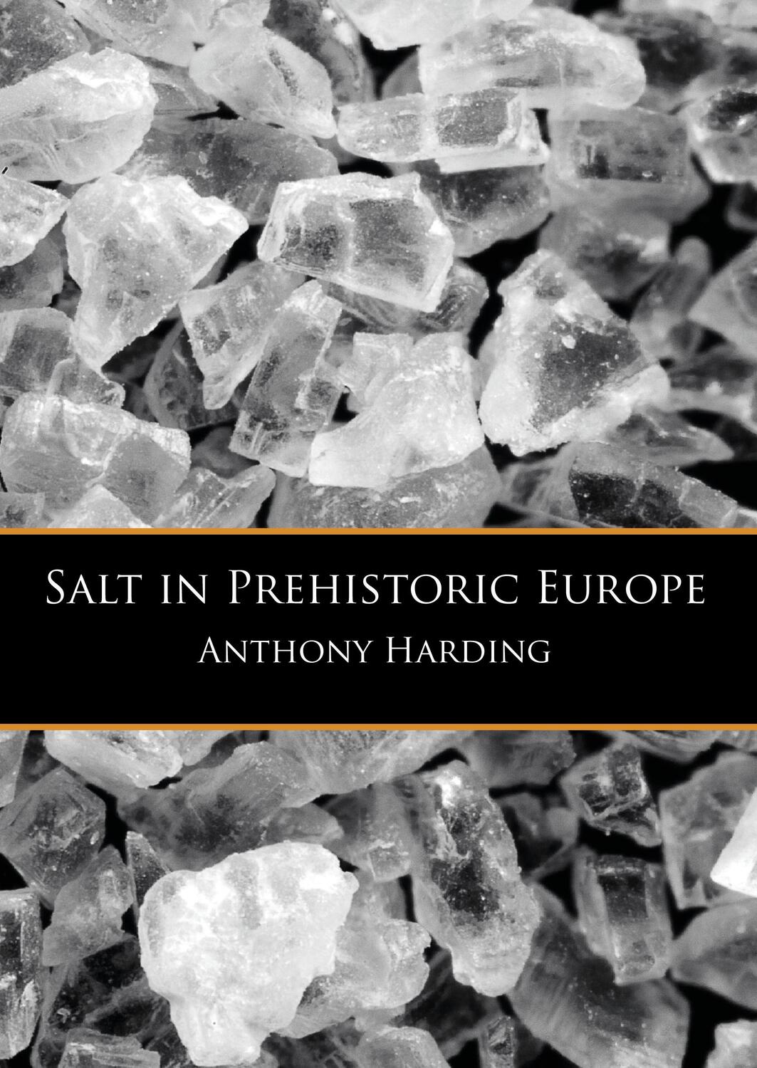 Cover: 9789088902017 | Salt in Prehistoric Europe | Anthony Harding | Taschenbuch | Paperback