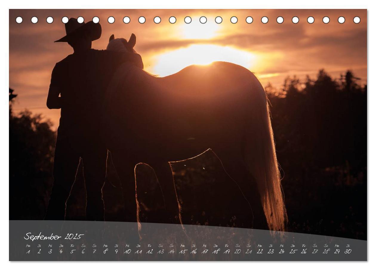 Bild: 9783435504121 | Haflinger-Pferde in Reinzucht (Tischkalender 2025 DIN A5 quer),...