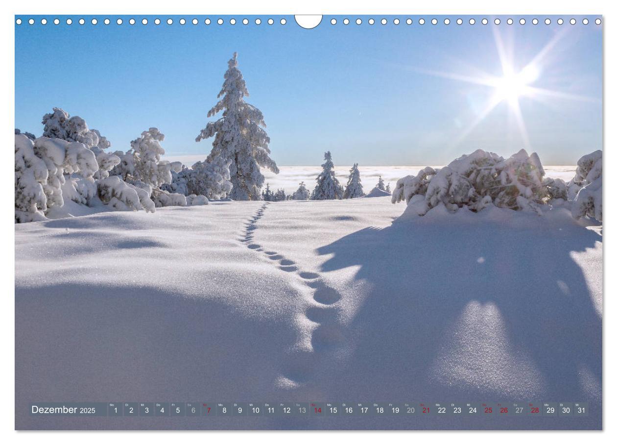 Bild: 9783435376834 | Die Jahreszeiten im Nordschwarzwald (Wandkalender 2025 DIN A3...