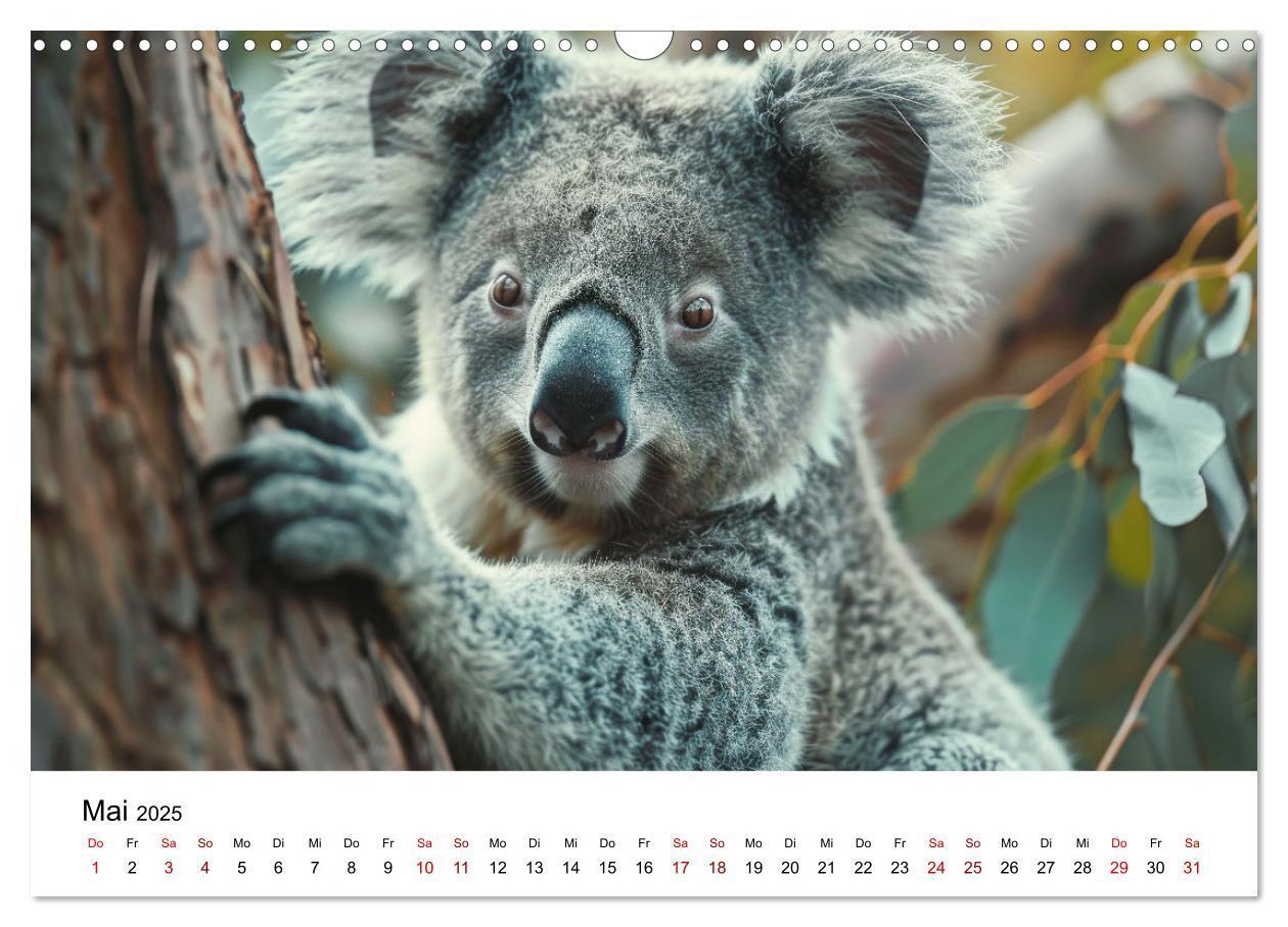 Bild: 9783383800689 | Wildes Down Under: Tiere des Australischen Kontinents (Wandkalender...