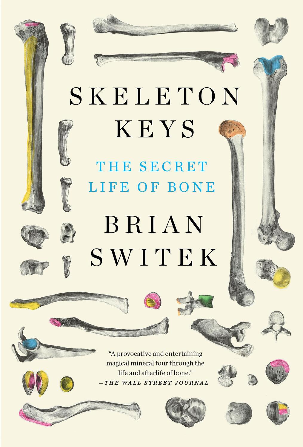 Cover: 9780525539124 | Skeleton Keys: The Secret Life of Bone | Riley Black | Taschenbuch