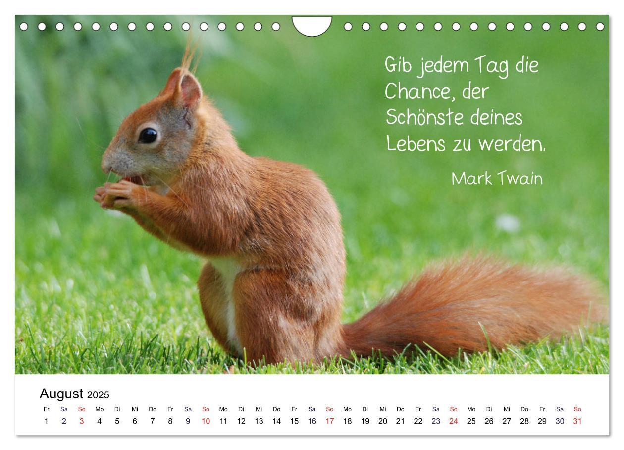 Bild: 9783435434244 | Der literarische Eichhörnchen-Kalender (Wandkalender 2025 DIN A4...