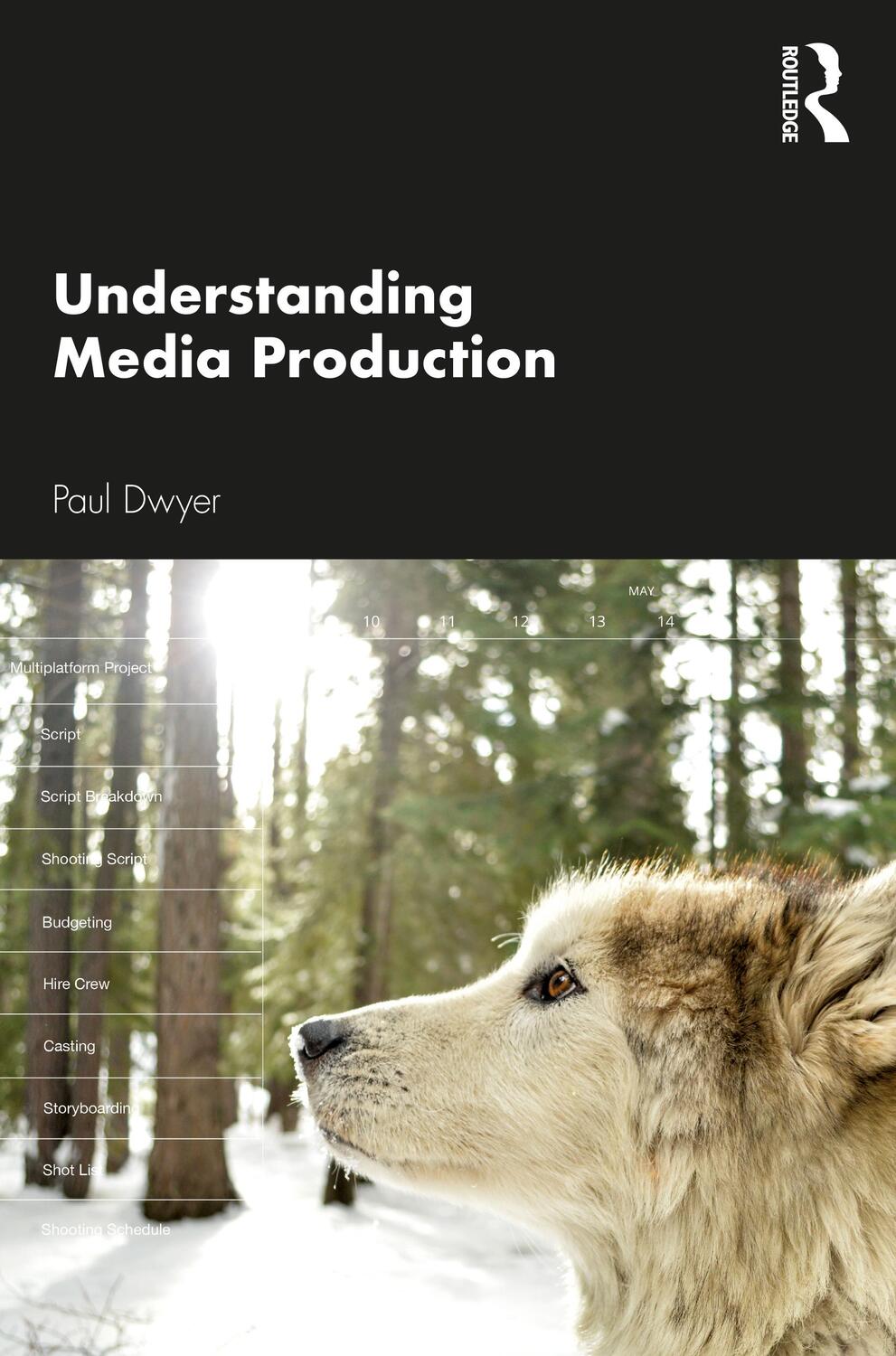 Cover: 9781138238145 | Understanding Media Production | Paul Dwyer | Taschenbuch | Englisch
