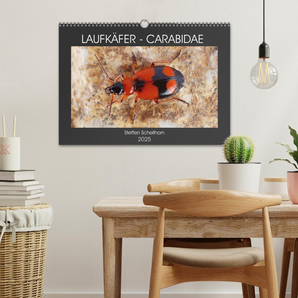 Bild: 9783435076949 | LAUFKÄFER - CARABIDAE (Wandkalender 2025 DIN A3 quer), CALVENDO...