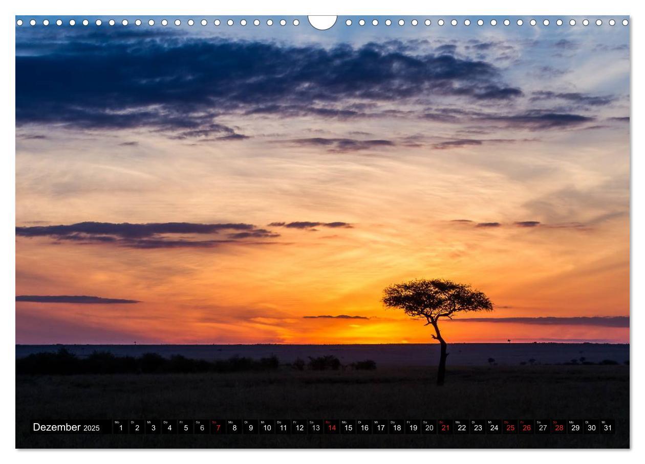 Bild: 9783435676583 | Masai Mara 2025 (Wandkalender 2025 DIN A3 quer), CALVENDO...