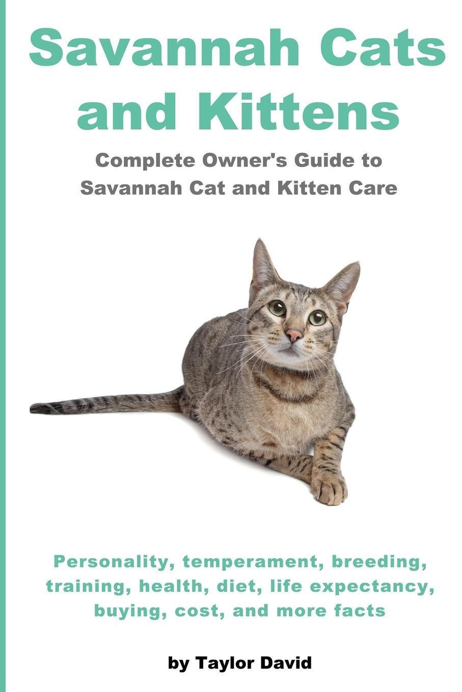 Cover: 9781927870143 | Savannah Cats and Kittens | Taylor David | Taschenbuch | Paperback