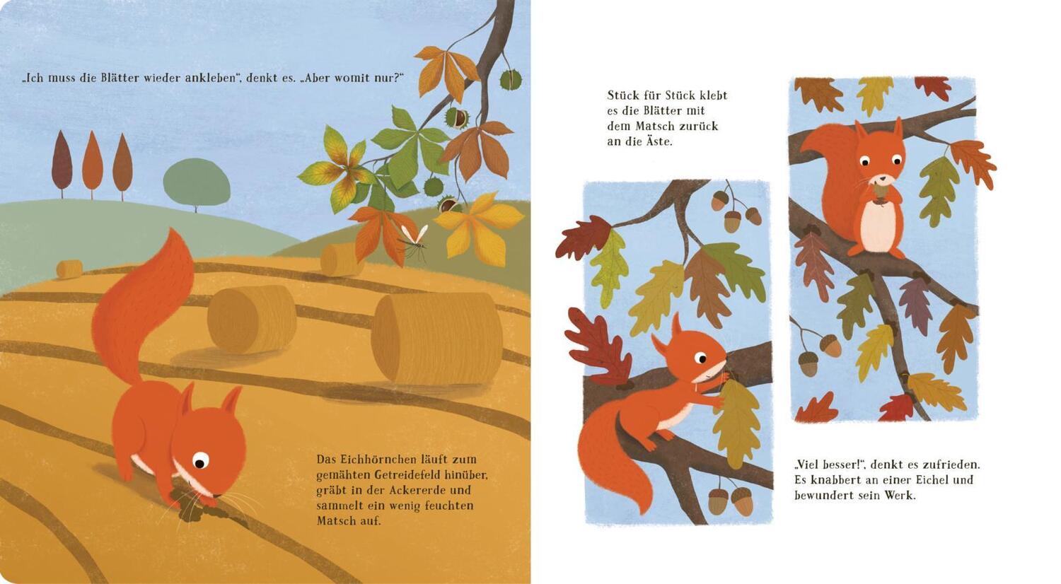 Bild: 9783551172631 | Das Eichhörnchen entdeckt den Herbst | Anita Loughrey | Buch | Deutsch