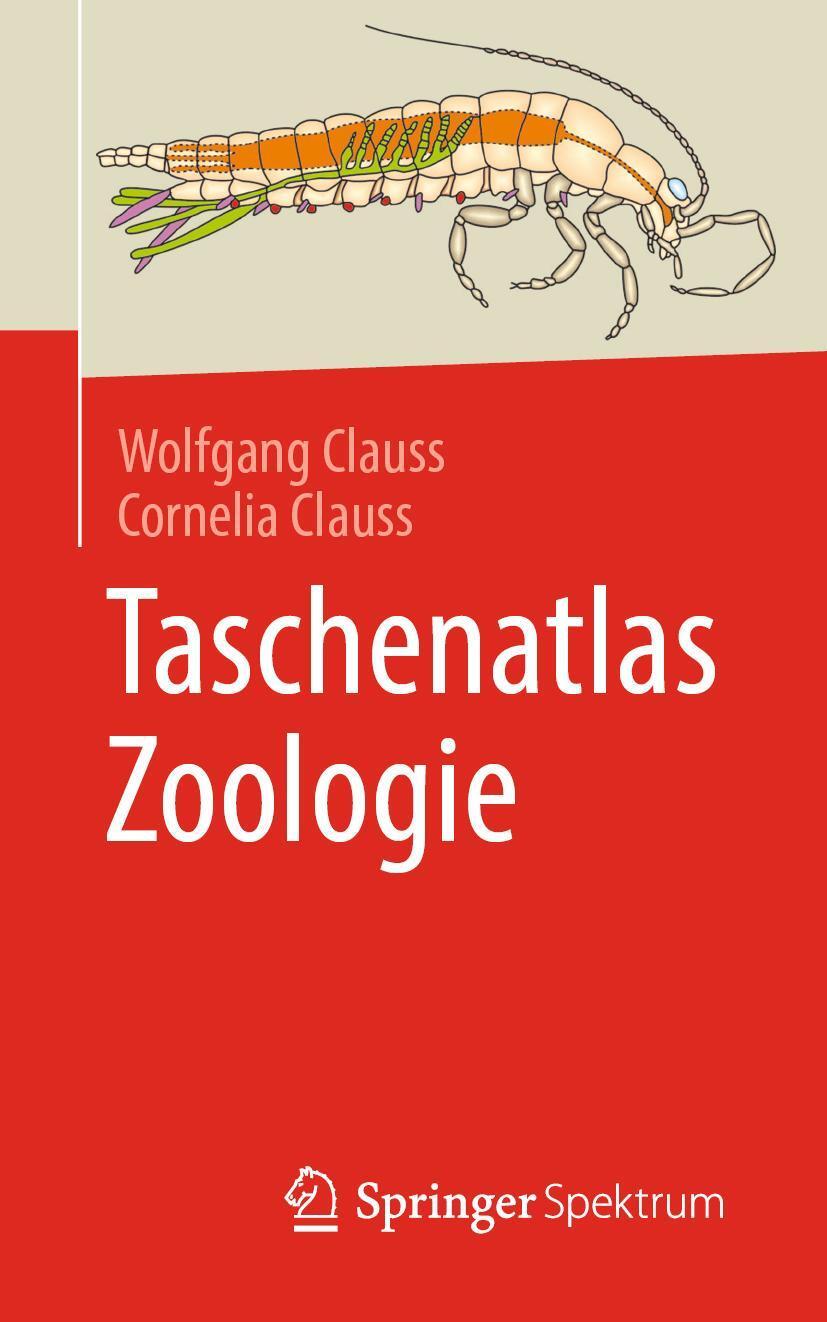 Cover: 9783662615911 | Taschenatlas Zoologie | Wolfgang Clauss (u. a.) | Taschenbuch | VIII