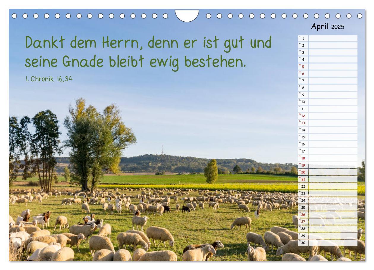 Bild: 9783435279623 | Heimat Hesselberg (Wandkalender 2025 DIN A4 quer), CALVENDO...