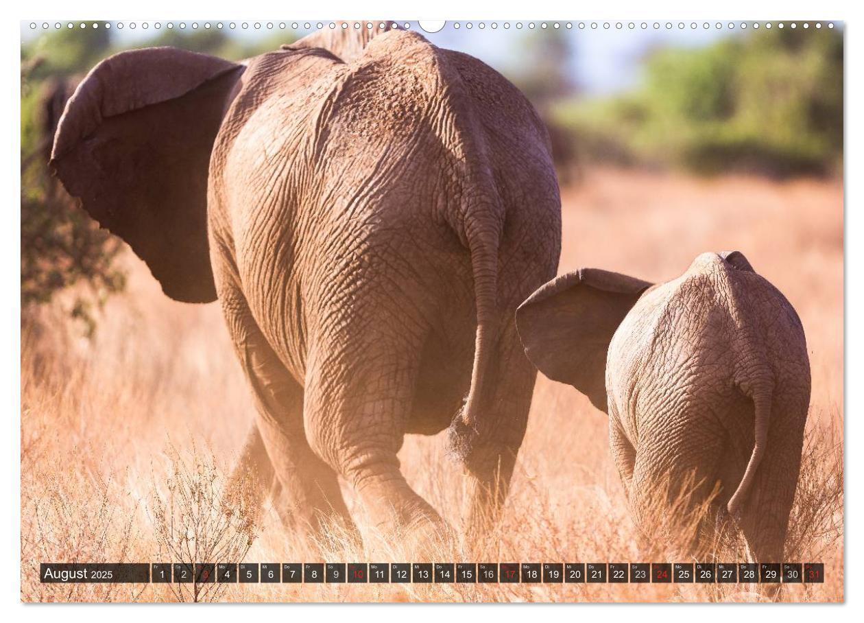 Bild: 9783435759484 | Kenia 2025 (Wandkalender 2025 DIN A2 quer), CALVENDO Monatskalender