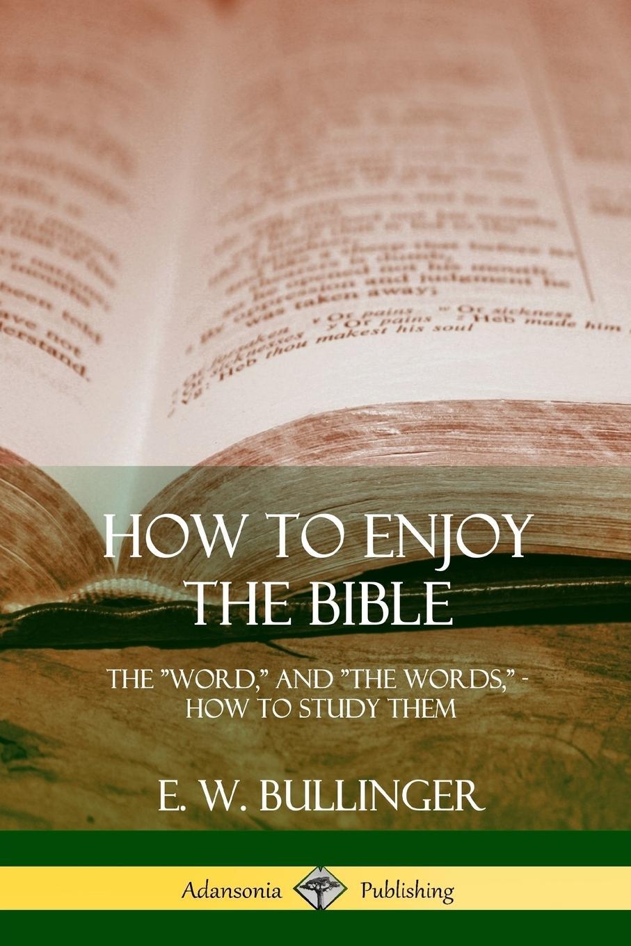 Cover: 9781387997435 | How to Enjoy the Bible | E. W. Bullinger | Taschenbuch | Paperback