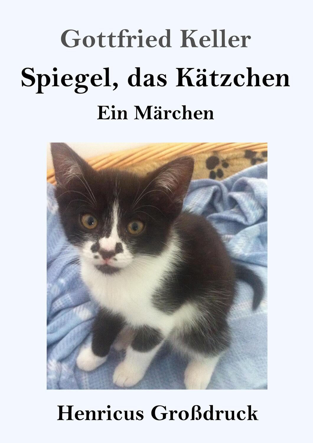 Cover: 9783847843306 | Spiegel, das Kätzchen (Großdruck) | Ein Märchen | Gottfried Keller