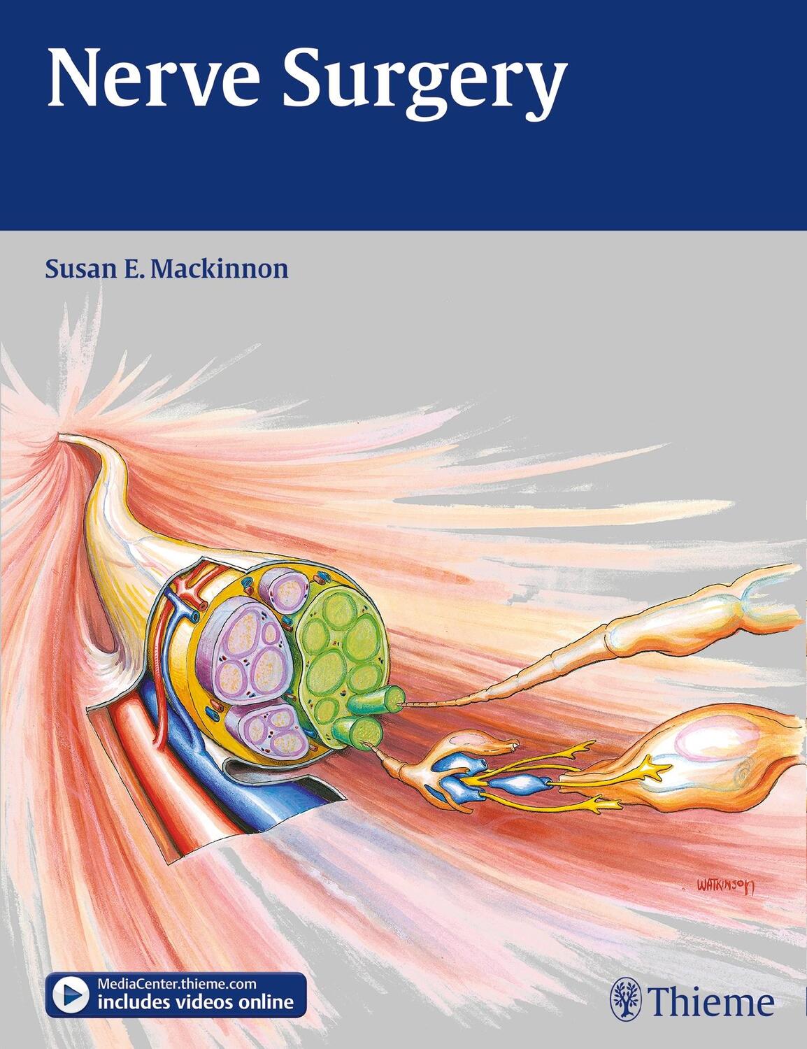 Cover: 9781588905130 | Nerve Surgery | Susan E. Mackinnon | Buch | gebunden (FH) | 646 S.