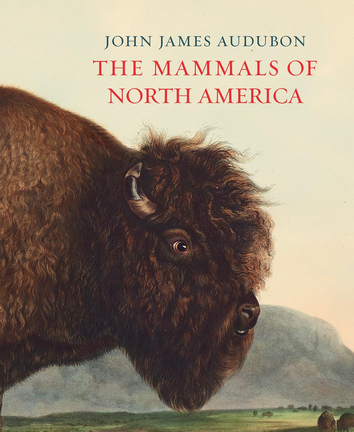 Cover: 9780565094843 | The Mammals of North America | John James Audubon | Buch | Gebunden