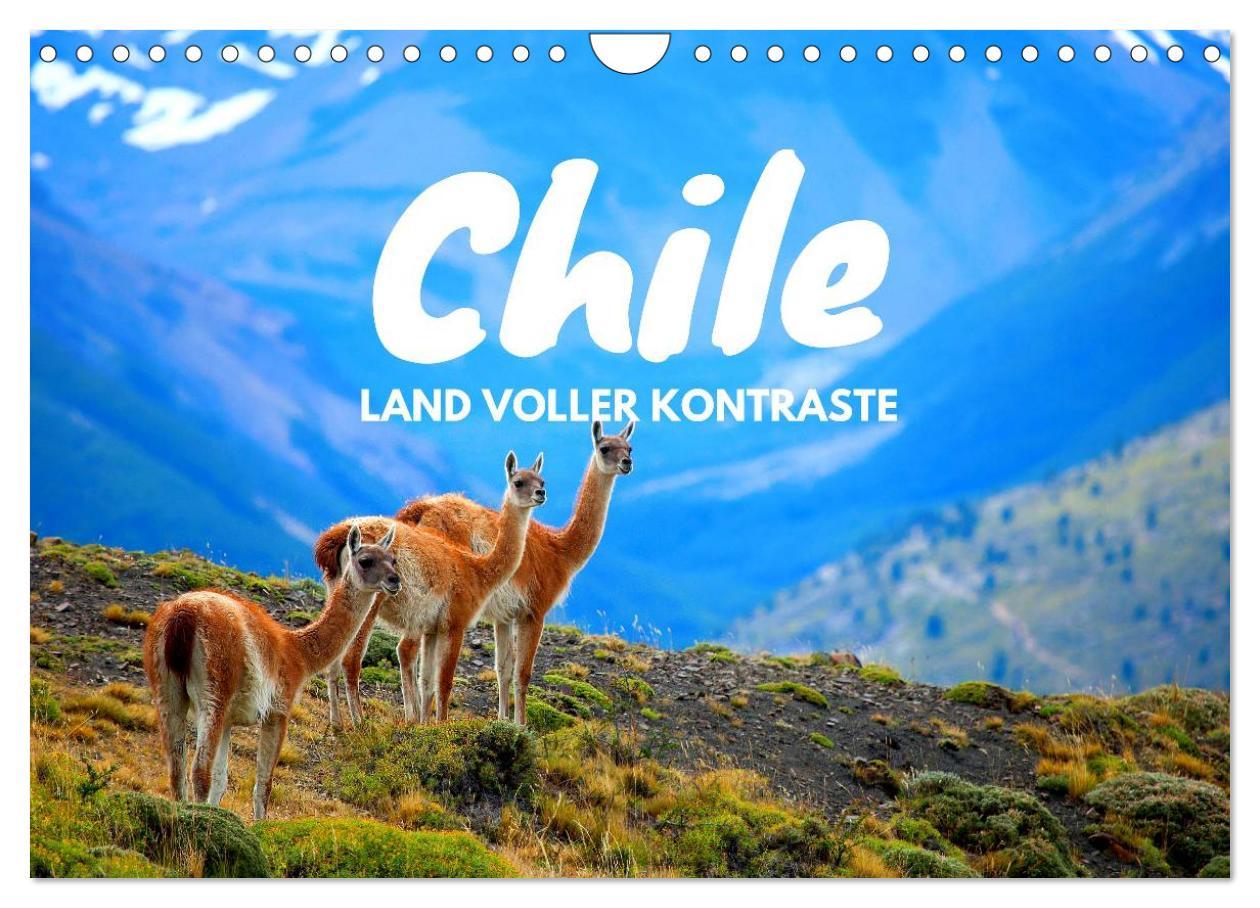 Cover: 9783435498154 | Chile - Land voller Kontraste (Wandkalender 2025 DIN A4 quer),...