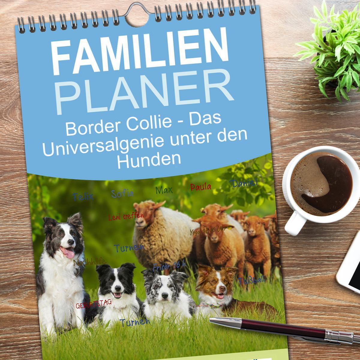 Bild: 9783457194676 | Familienplaner 2025 - Border Collie - Das Universalgenie unter den...