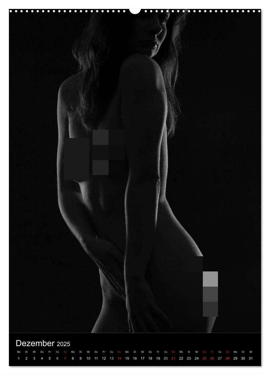 Bild: 9783457087213 | Erotische Silhouetten (Wandkalender 2025 DIN A2 hoch), CALVENDO...