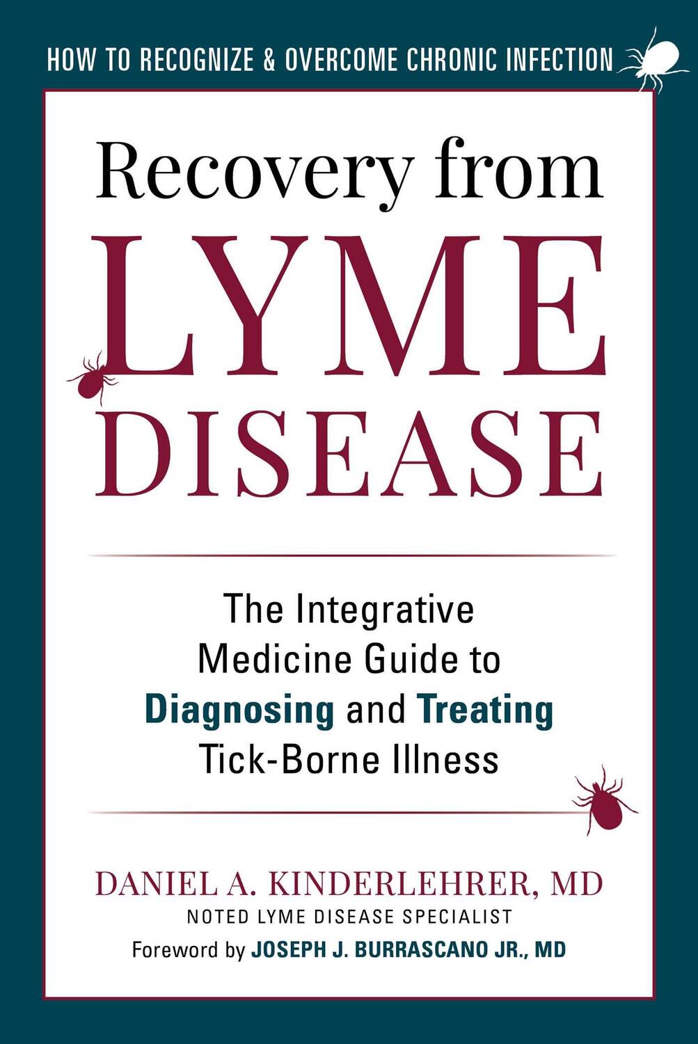 Cover: 9781510762053 | Recovery from Lyme Disease | Daniel A Kinderlehrer | Buch | Englisch