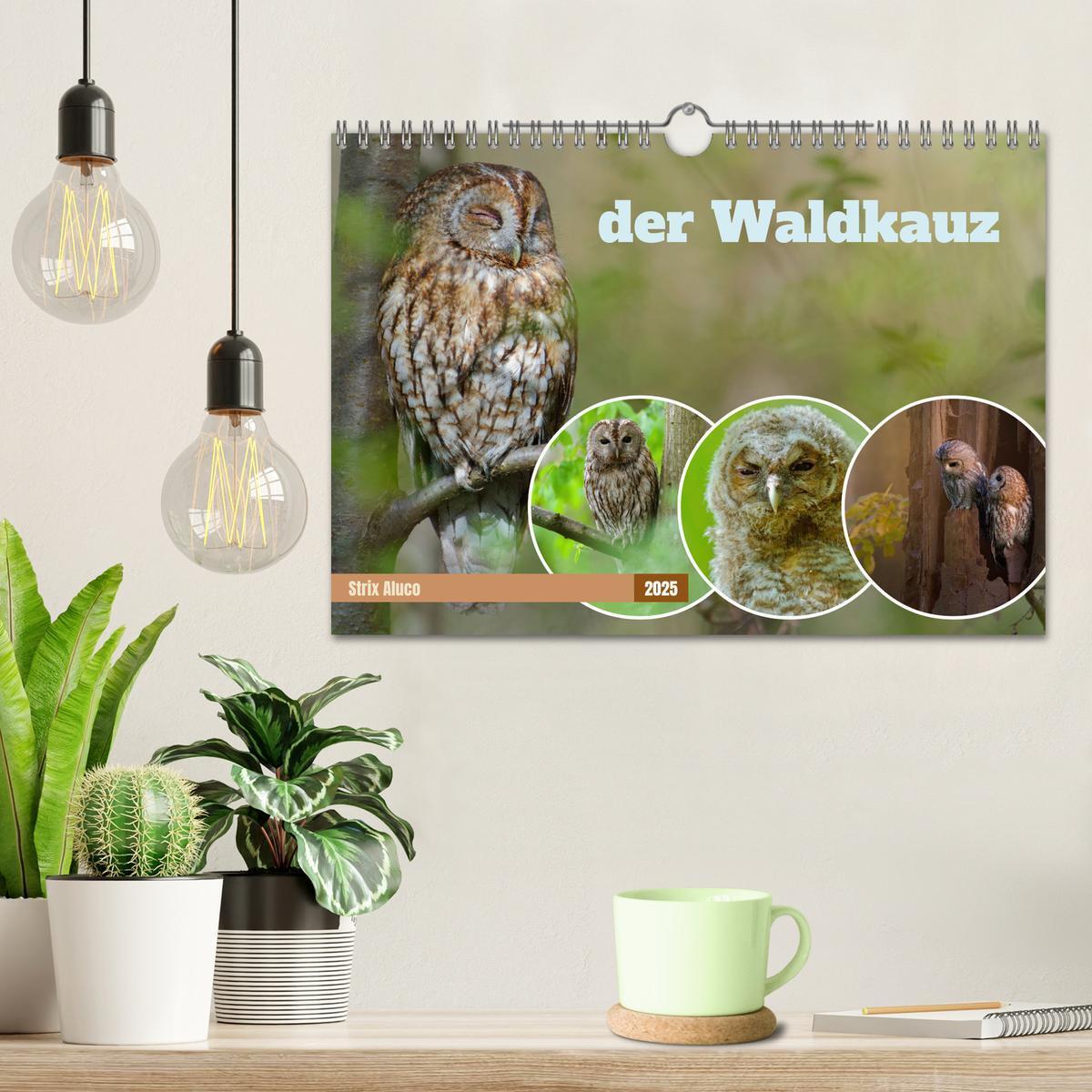 Bild: 9783383833830 | der Waldkauz - Strix Aluco (Wandkalender 2025 DIN A4 quer),...