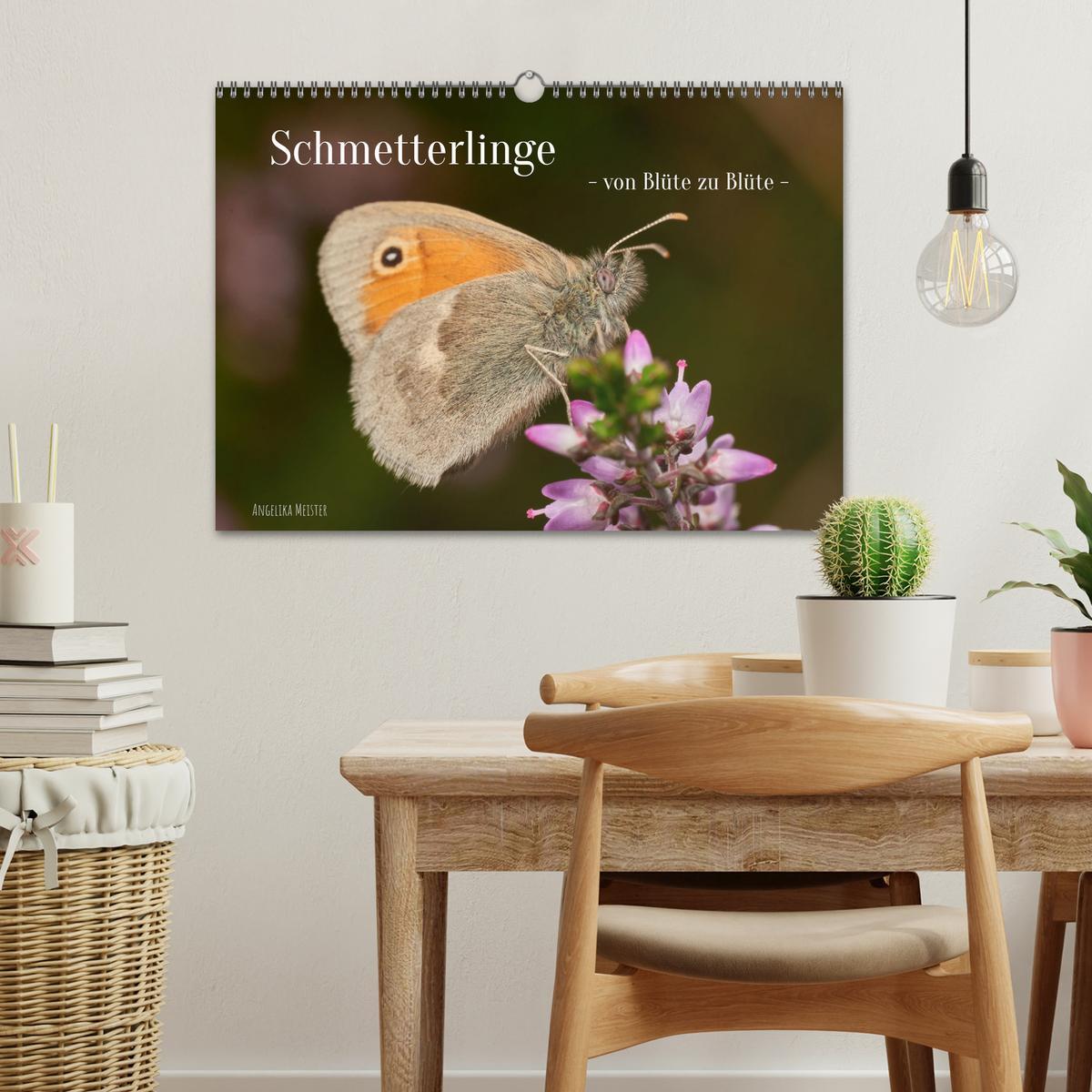 Bild: 9783383973659 | Schmetterlinge - von Blüte zu Blüte - (Wandkalender 2025 DIN A3...